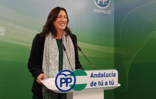 PP-A reclama un debate general en el Parlamento tras las movilizaciones sanitarias y urge a Díaz a renovar el equipo