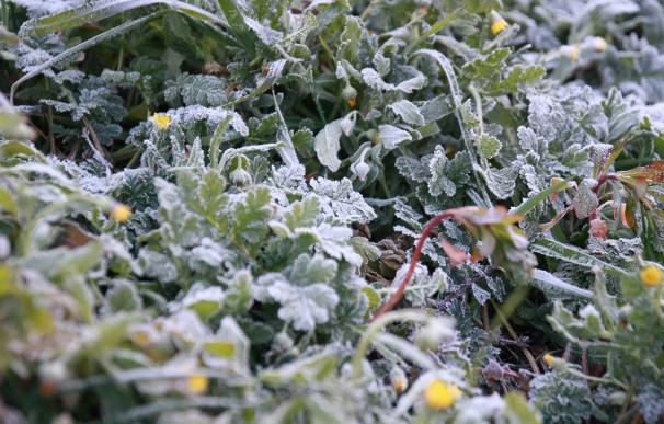 El aviso por heladas se mantiene este jueves, tras alcanzarse los -6,3 grados en Salvatierra (Álava)