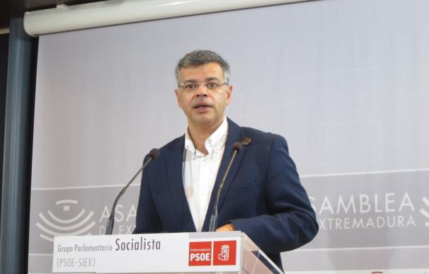 El PSOE cree "moderadamente positivo" el dato de diciembre y reitera que Extremadura necesita un plan de empleo
