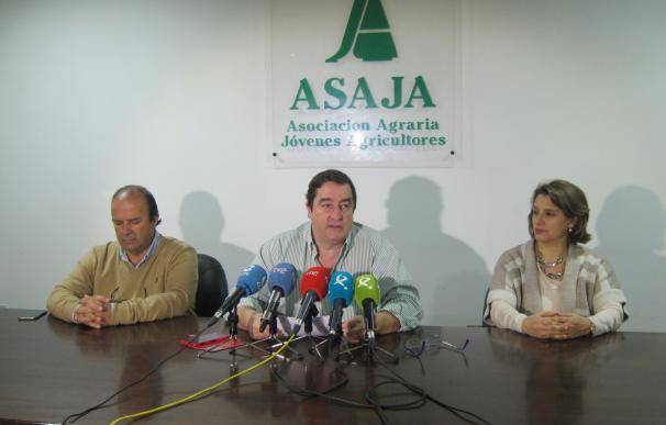 Asaja Extremadura pide la suspensión de las elecciones al campo por "incumplir" la Ley Agraria
