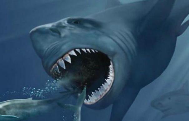 El tiburón gigante se extinguió porque las ballenas pequeñas que comía... crecieron
