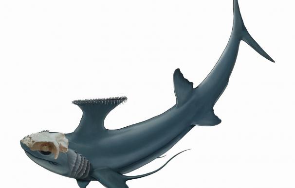 Un fósil revela el origen de peces monstruo parecidos a los tiburones