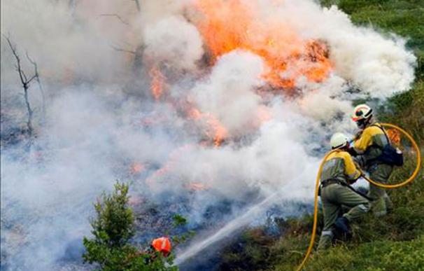Los bomberos, contra un incendio en Navarra