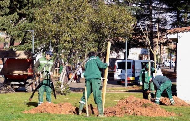 El Ayuntamiento de Azuqueca de Henares plantará un árbol por cada recién nacido que se empadrone en el municipio