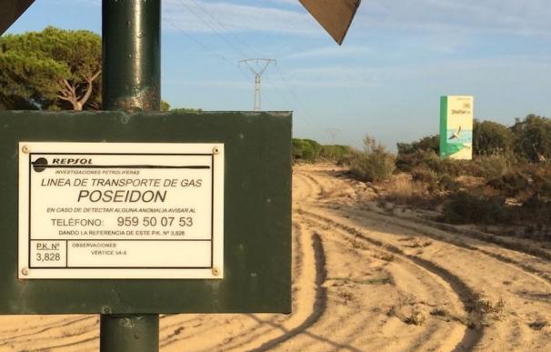 Iniciativa Social por Doñana critica que los proyectos gasísticos la conviertan en "una ampliación del polo químico"