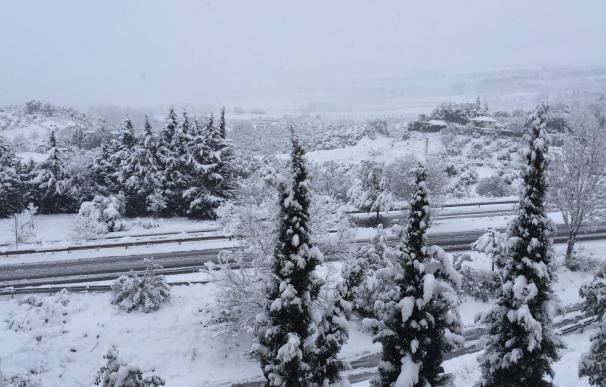 La fuerte nevada caída obliga al corte de carreteras y a suspender clases en algunos municipios