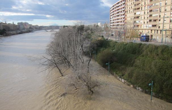La punta máxima de la crecida ordinaria del Ebro llegará a la ciudad a primera hora de la tarde