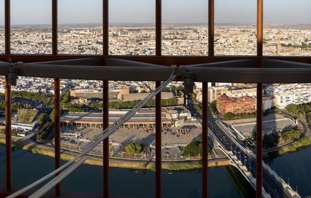 La Torre Sevilla cierra 2016 con un 65% de ocupación y diez plantas ya ocupadas por empresas inquilinas