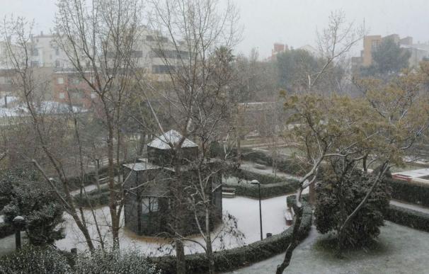 Este lunes empiezan a trabajar en Almansa (Albacete) tres equipos para contrarrestar los efectos de la nevada