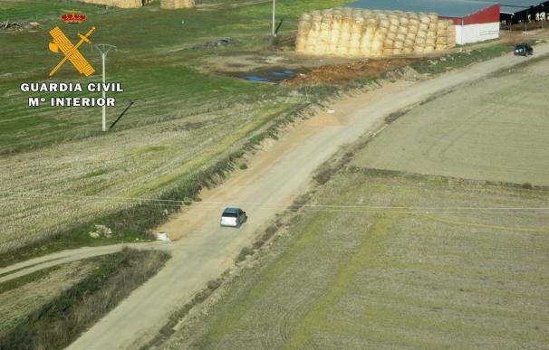 Cuatro detenidos en la Moraña (Ávila) por caza ilegal, daños a parcelas aradas y conducción temeraria