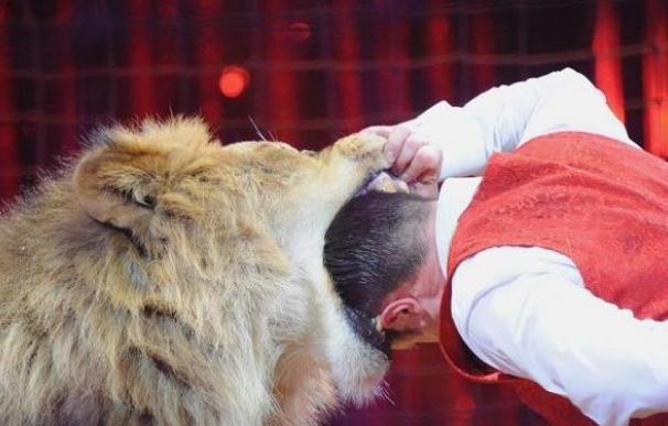 ¿Será Madrid una ciudad libre de animales en los circos?