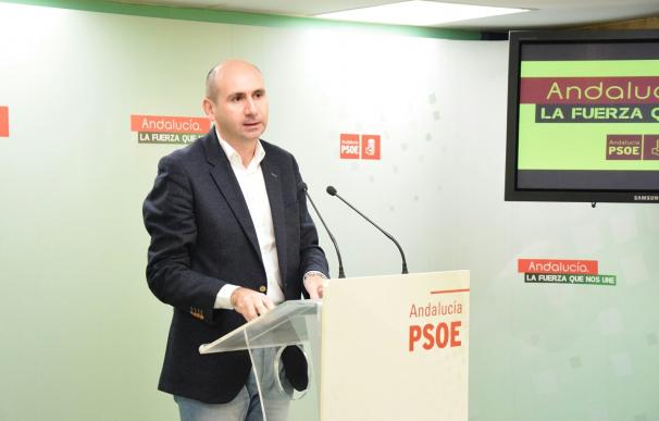 Conejo dice que PSOE-A es "respetuoso con los órganos y procedimiento" del partido y "no toca hablar de candidatos"