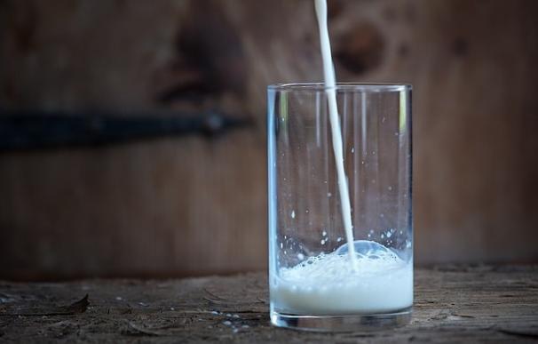 Podemos reclama una Denominación de Origen Protegida para la leche asturiana