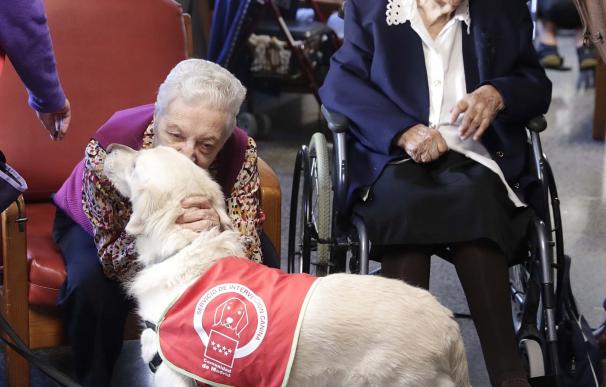 La Comunidad contará con perros para hacer terapias en colegios, hospitales y residencias de mayores