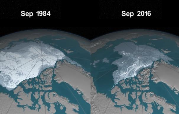 Comparativa entre 1984 y 2016