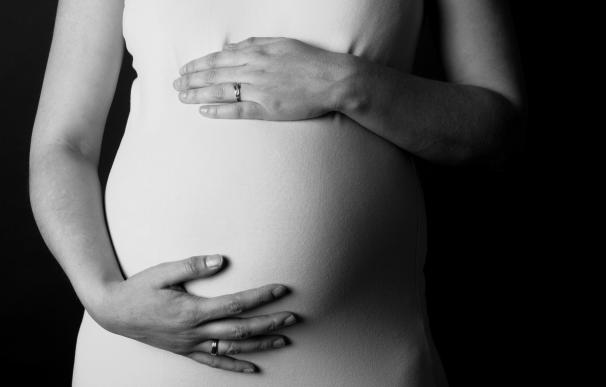 El Foro de la Familia pide a los compromisarios del PP de Baleares que voten en contra de la maternidad subrogada