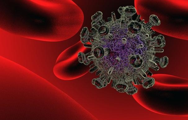 Células T genéticamente manipuladas hacen que el 'arpón' de ataque del VIH sea impotente, según una investigación