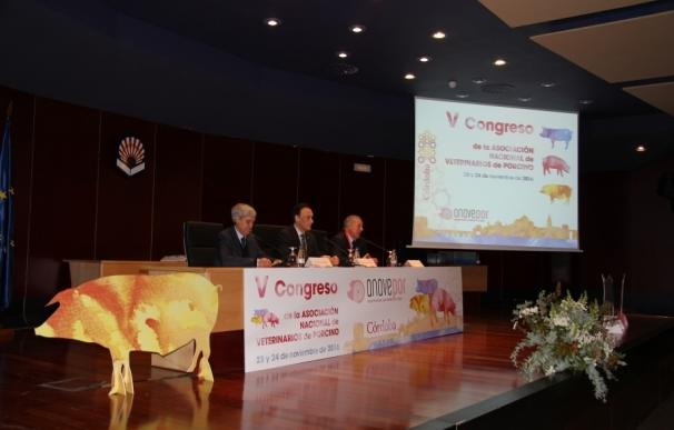 La UCO acoge el V Congreso de la Asociación Nacional de Veterinarios de Porcino