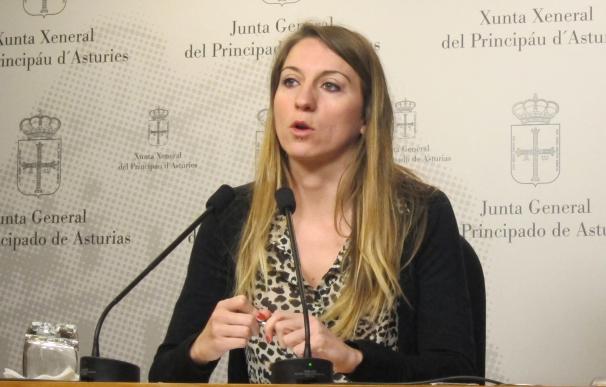 Montejo (Podemos) ve "muy grave" que el Gobierno no activase la BRIF de Tineo en los incendios de 2015