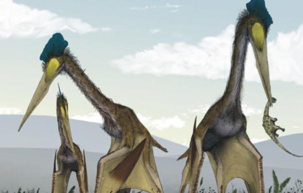 Encuentran restos del mayor monstruo prehistórico que 'desayunaba' dinosaurios