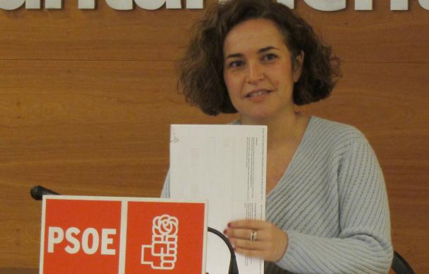 PSOE pide "apoyo" para que no desaparezcan los mercados de Logroño