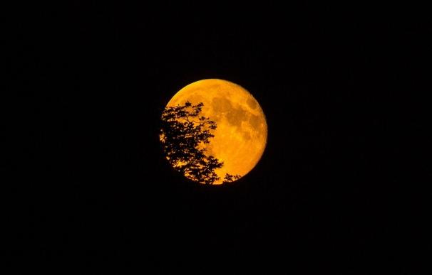 Fertilidad, locura o mala suerte, estos son algunos de los mitos y supersticiones en torno a la luna