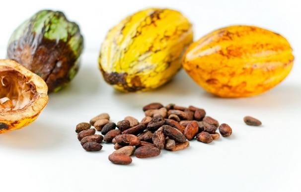 Los antioxidantes del cacao pueden ayudar a retrasar la diabetes tipo 2