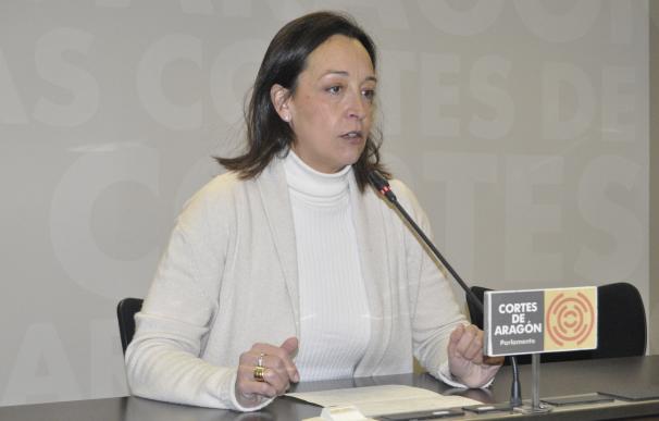 Susín (PP) pide el cese de Celaya por su "ineficacia" en la gestión sanitaria
