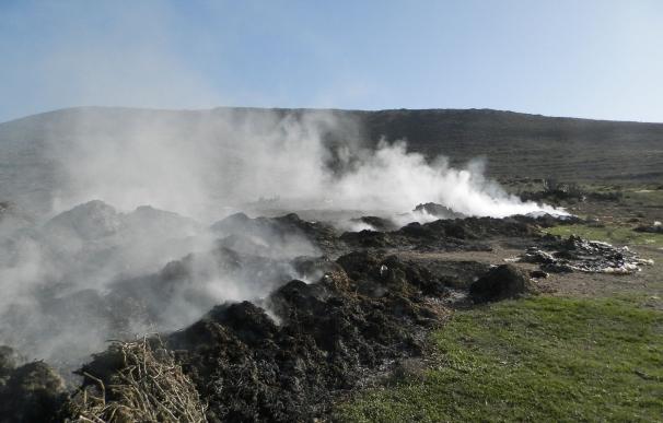 Abren una veintena de expedientes por quema de residuos agrícolas durante la noche de San Antón