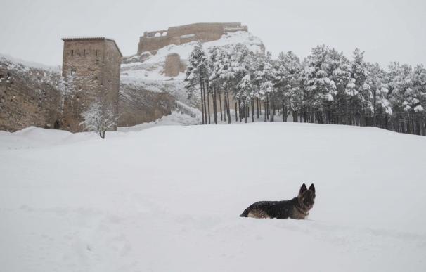 Las casi 24 horas seguidas de nieve en Morella dejan 50 cm, 400 alumnos sin clase y accesos cerrados