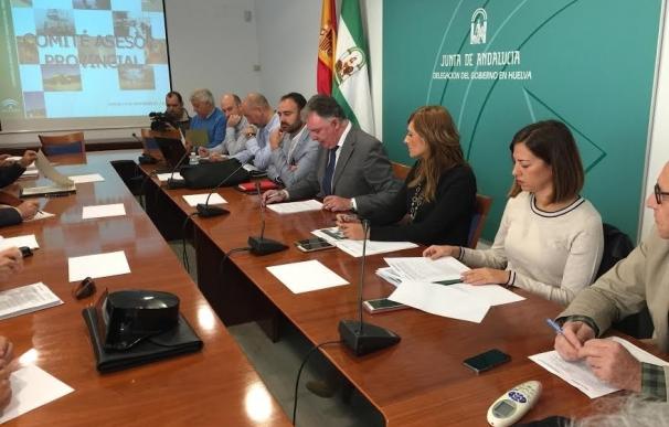 Se reducen en Huelva el número de incendios en más de un 38% con respecto a la media en la última década