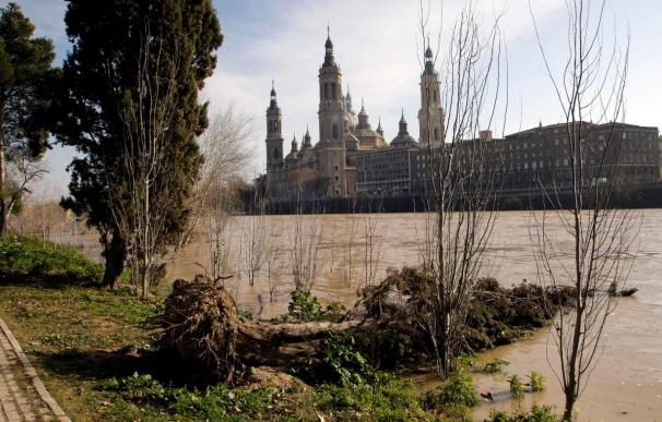 La CHE comienza la restauración ecológica de los ríos de la margen derecha del Ebro
