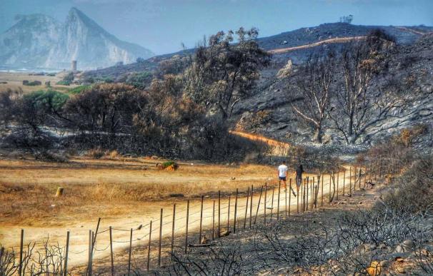 Verdemar tacha de "inviable" el proyecto turístico que se anuncia en La Línea en "terreno incendiado este verano"
