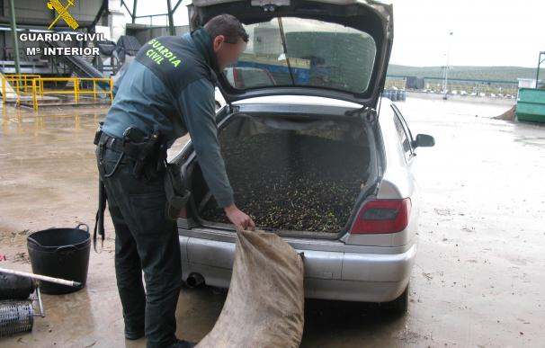 Detenidos en Estepa (Sevilla) dos acusados de robar ocho toneladas de aceituna en Baena (Córdoba)
