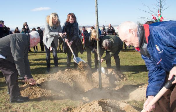 Plantado un retoño del árbol de Gernika en Sartaguda en homenaje a las víctimas de la guerra civil y el franquismo