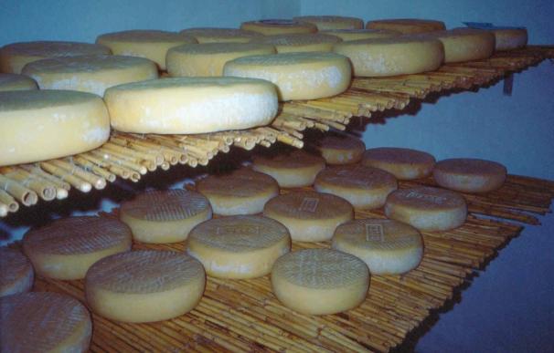 Unos 29 quesos de Gran Canaria competirán en el concurso internacional World Cheese Awards de San Sebastián