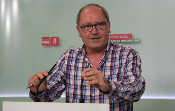 PSOE-A pide al PP-A respeto para Chaves y Griñán, "quienes lo han dado todo por Andalucía"
