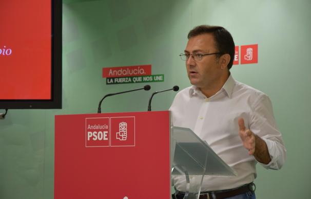 Heredia (PSOE-A) respeta a la Justicia y cree en la "honradez e inocencia" de Chaves y Griñán