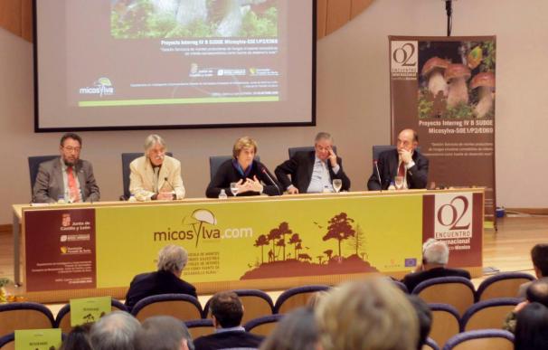 Los cocineros demandan cotos y lonjas para aprovechar el potencial micológico de Castilla y León