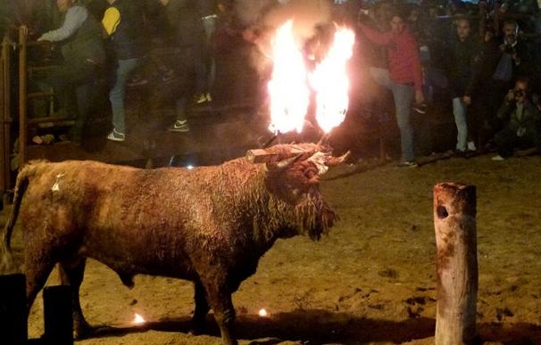 Medinaceli celebra el polémico Toro Jubilo entre las protestas y con 15 denuncias a antitaurinos