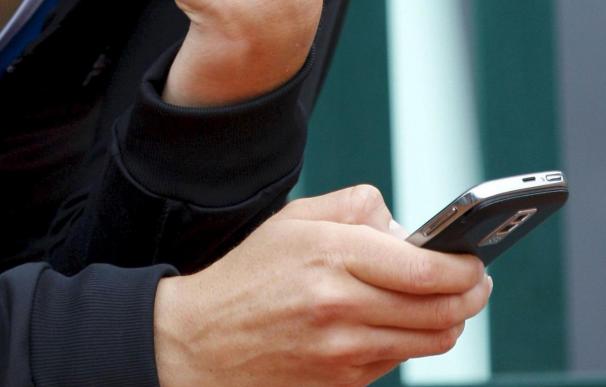 El 20,2% de los internautas accede a Internet desde el móvil, según un estudio