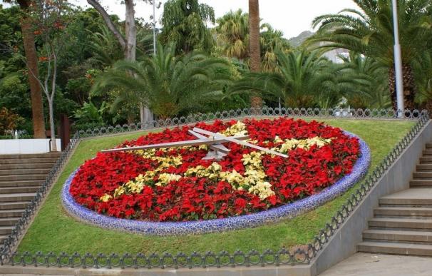 Más de 50.000 flores de pascua decorarán los jardines de Santa Cruz de Tenerife