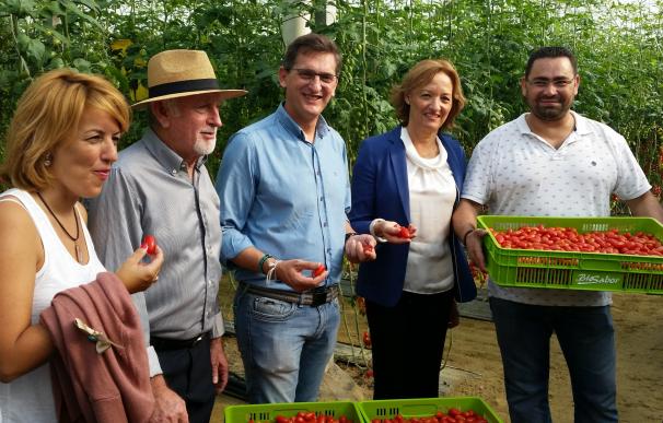 PSOE-A destaca la "apuesta" de Junta en agricultura, frente al "castigo" de PP con "un recorte de más de 900 millones"
