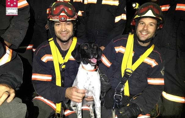 Rescatado un perro que se había caído dentro de una sima en Atzeneta