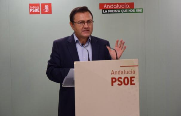 Heredia (PSOE-A) espera que "los tortolitos" PP y Podemos "no repitan la pinza" contra el presupuesto andaluz