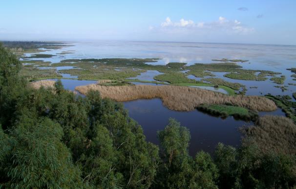 WWF revela que más de 1.700 balsas de riego acaparan el agua de Doñana y que la mayoría son "ilegales"