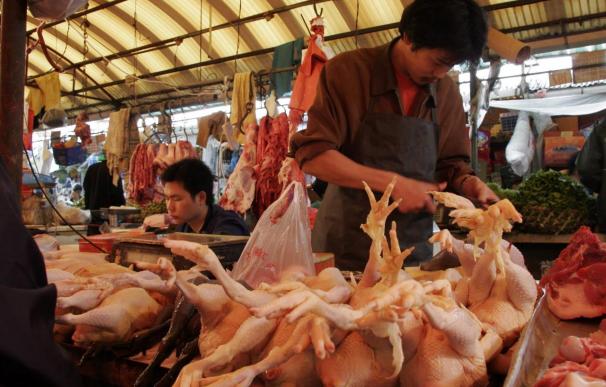 China investigará si hay "dumping" en la importación de pollos de EEUU
