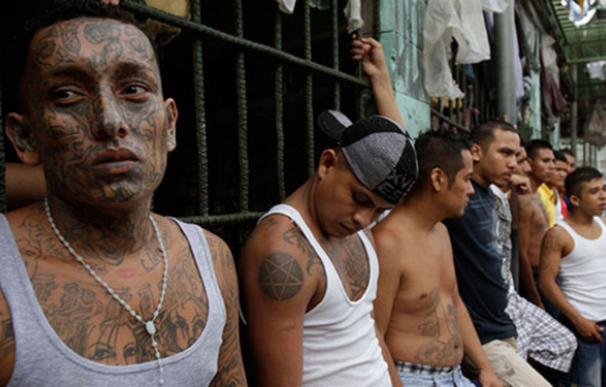 Los pandilleros de El Salvador, el peor flagelo del país latinoamericano.