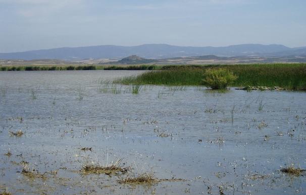 Designadas zonas especiales de conservación los humedales de Laguna de Pitillas, Balsa del Pulguer y Badina Escudera
