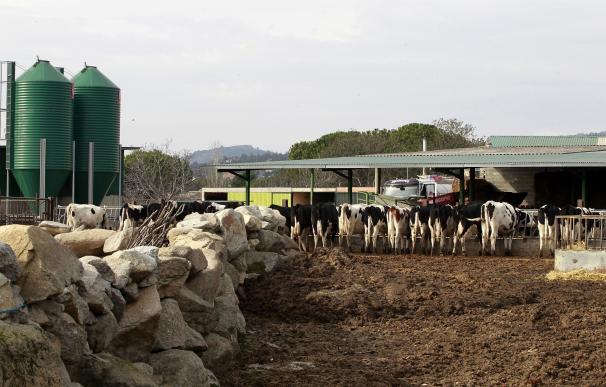 La ganadería española acoge con "alivio" la rebaja fiscal de los módulos para 2017